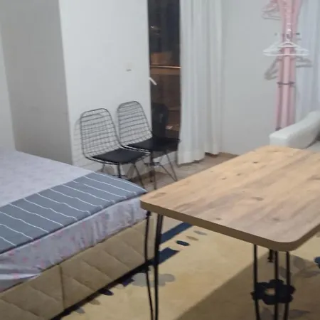 Hostel Mixed Bunk Bed Cheap Sleeping Place *