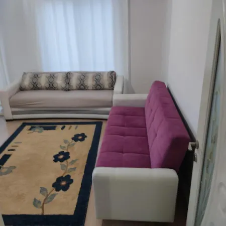 Mixed Bunk Bed Cheap Sleeping Place